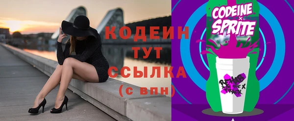 стаф Краснослободск