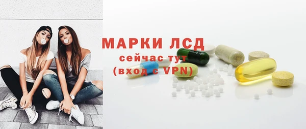 хмурый Няндома