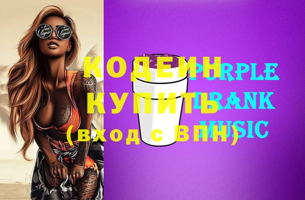 хмурый Няндома
