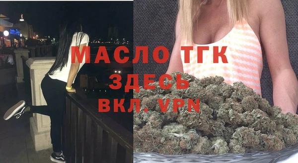 хмурый Няндома
