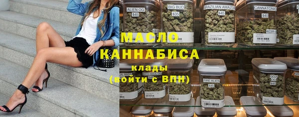 хмурый Ветлуга