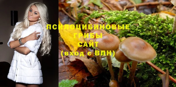 ALPHA-PVP Красноперекопск