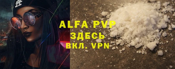 хмурый Няндома