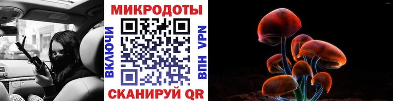 KRAKEN сайт  Кяхта  Псилоцибиновые грибы Psilocybine cubensis 